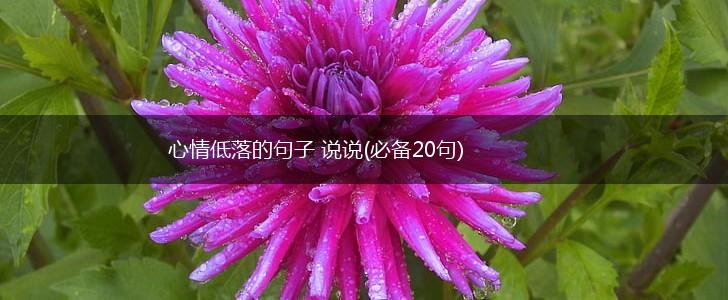 心情低落的句子 说说(必备20句),第1张