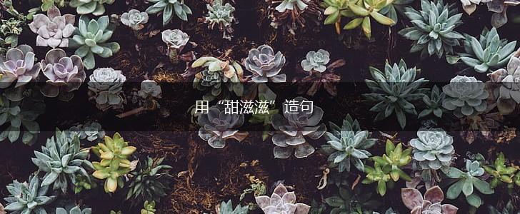 用“甜滋滋”造句,第1张 用“甜滋滋”造句,第1张