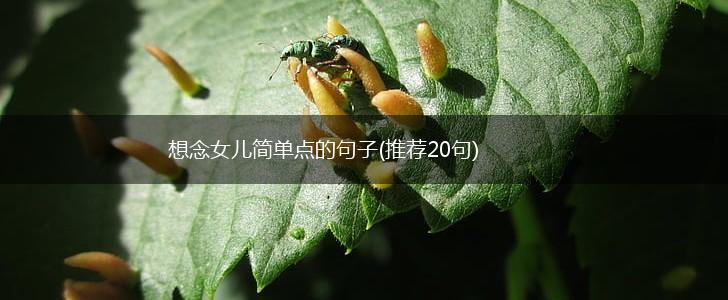 想念女儿简单点的句子(推荐20句),第1张