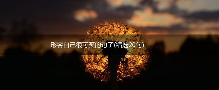 形容自己很可笑的句子(精选20句),第1张