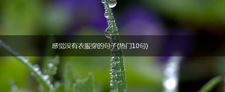 感觉没有衣服穿的句子(热门10句),第1张