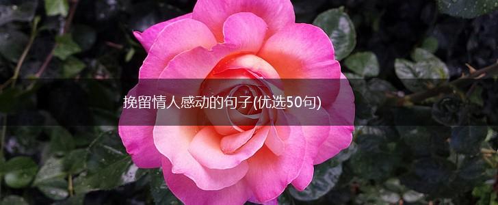 挽留情人感动的句子(优选50句),第1张