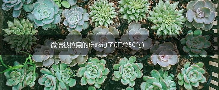 微信被拉黑的伤感句子(汇总50句),第1张