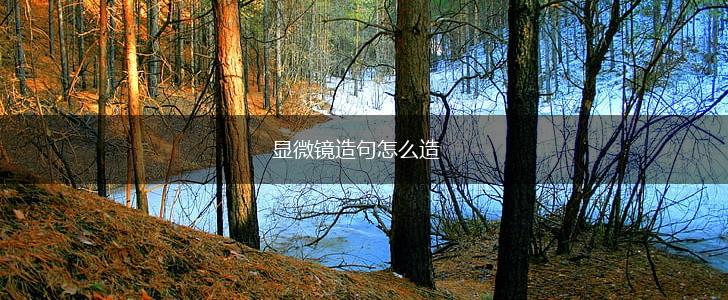 显微镜造句怎么造,第1张 显微镜造句怎么造,第1张