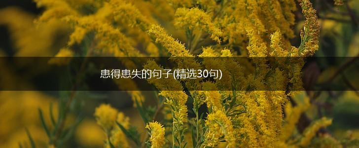 患得患失的句子(精选30句),第1张