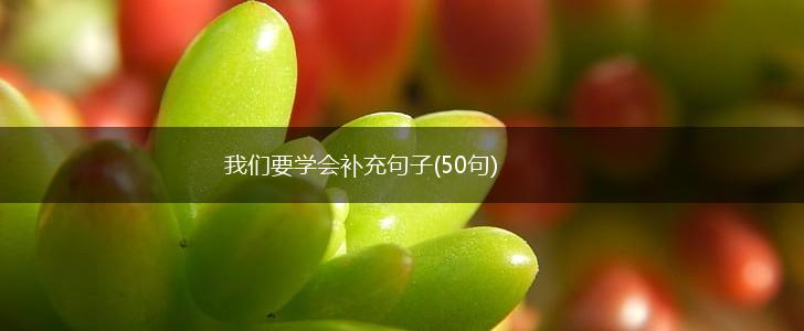 我们要学会补充句子(50句),第1张