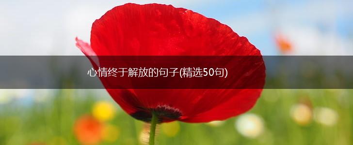 心情终于解放的句子(精选50句),第1张