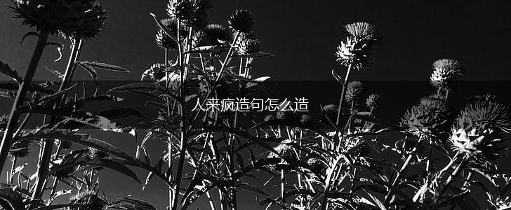 人来疯造句怎么造,第1张 人来疯造句怎么造,第1张