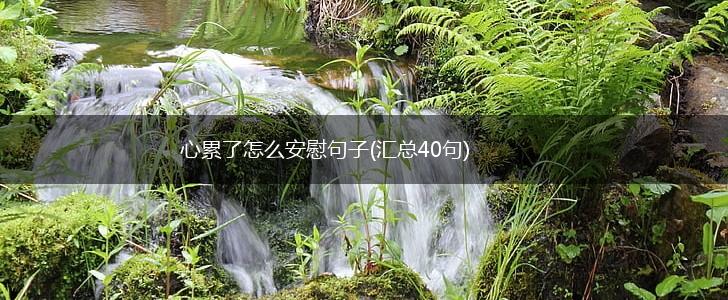 心累了怎么安慰句子(汇总40句),第1张