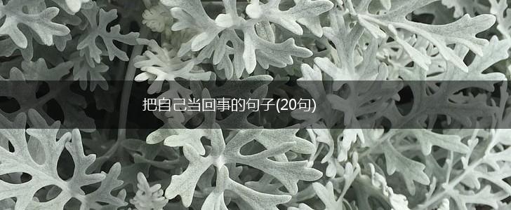 把自己当回事的句子(20句),第1张