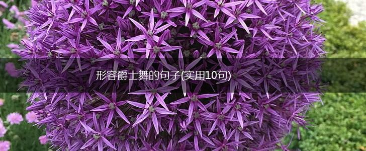 形容爵士舞的句子(实用10句),第1张