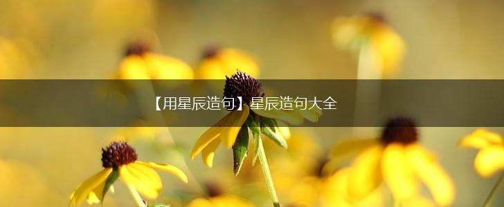 【用星辰造句】星辰造句大全,第1张