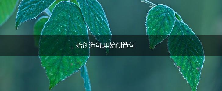 始创造句,用始创造句,第1张 始创造句,用始创造句,第1张