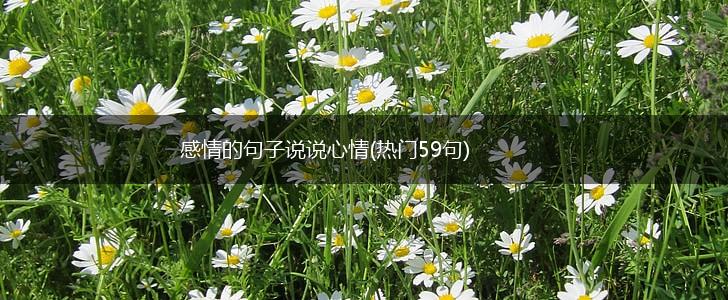感情的句子说说心情(热门59句),第1张