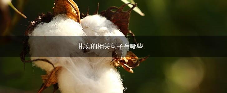 扎实的相关句子有哪些,第1张 扎实的相关句子有哪些,第1张