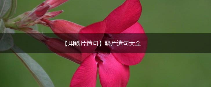 【用鳞片造句】鳞片造句大全,第1张 【用鳞片造句】鳞片造句大全,第1张