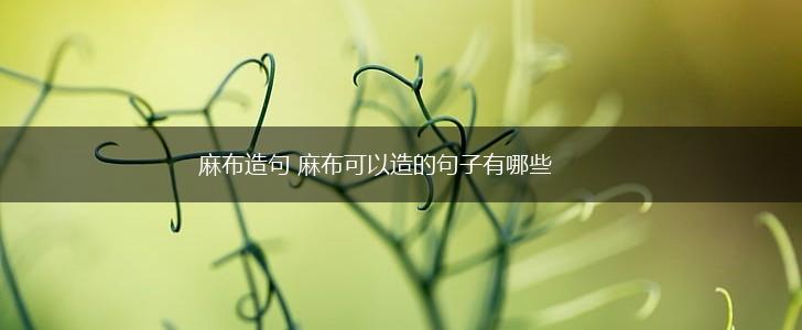 麻布造句 麻布可以造的句子有哪些,第1张