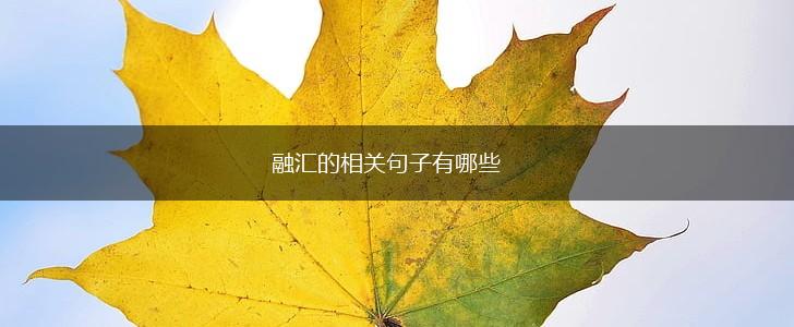 融汇的相关句子有哪些,第1张