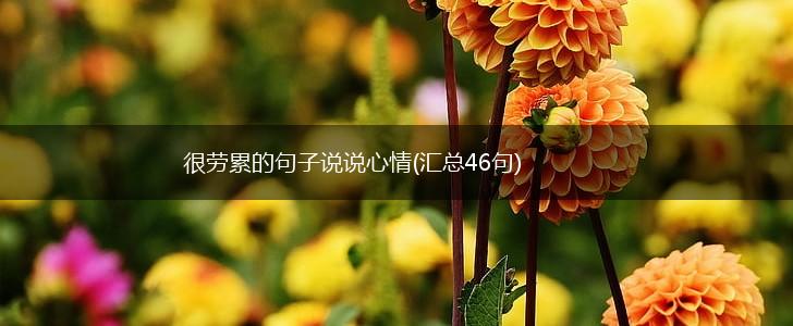很劳累的句子说说心情(汇总46句),第1张