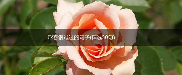 形容很难过的句子(精选50句),第1张