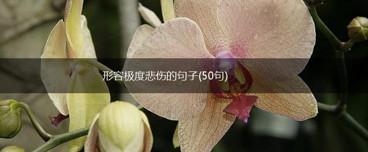 形容极度悲伤的句子(50句),第1张