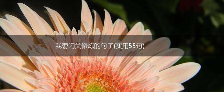 我要闭关修炼的句子(实用55句),第1张