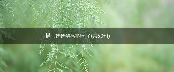 描写奶奶笑容的句子(共50句),第1张