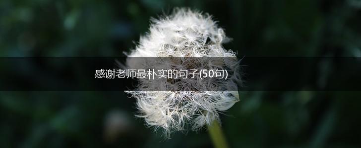感谢老师最朴实的句子(50句),第1张