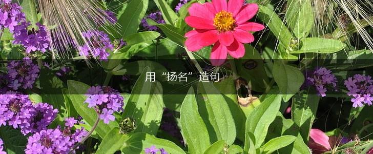 用“扬名”造句,第1张