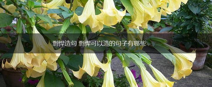 剽悍造句 剽悍可以造的句子有哪些,第1张 剽悍造句 剽悍可以造的句子有哪些,第1张