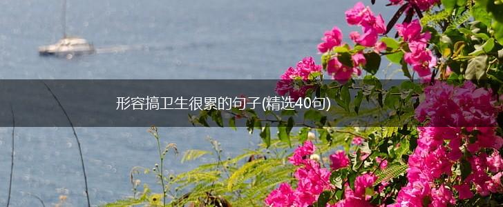 形容搞卫生很累的句子(精选40句),第1张