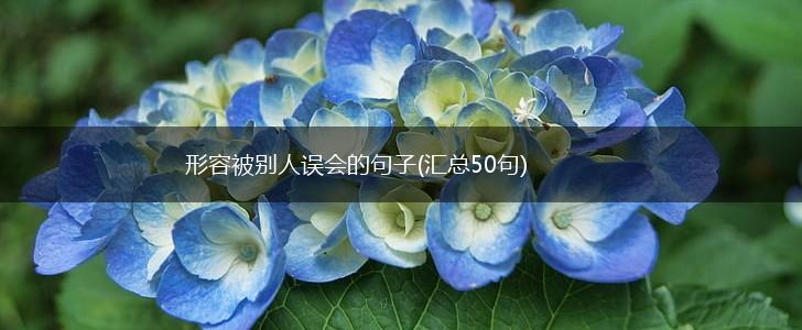 形容被别人误会的句子(汇总50句),第1张