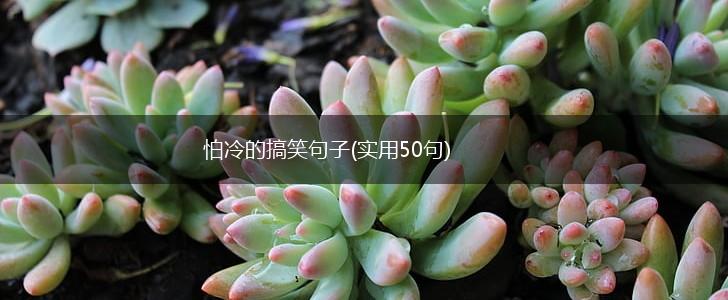 怕冷的搞笑句子(实用50句),第1张