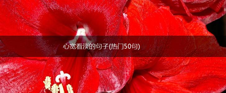 心宽看淡的句子(热门50句),第1张