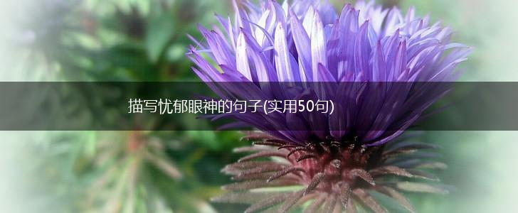 描写忧郁眼神的句子(实用50句),第1张