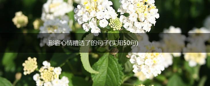 形容心情糟透了的句子(实用50句),第1张