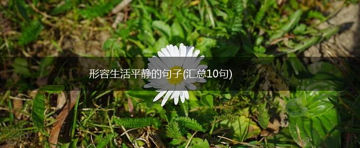 形容生活平静的句子(汇总10句),第1张