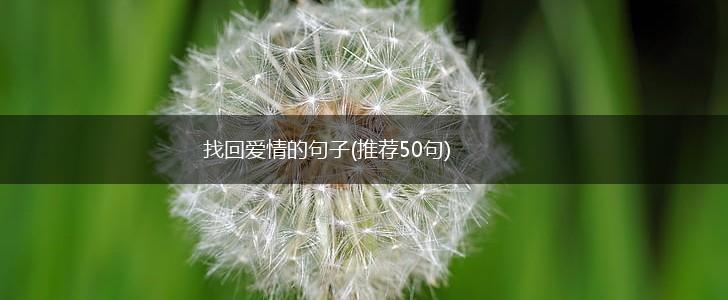 找回爱情的句子(推荐50句),第1张