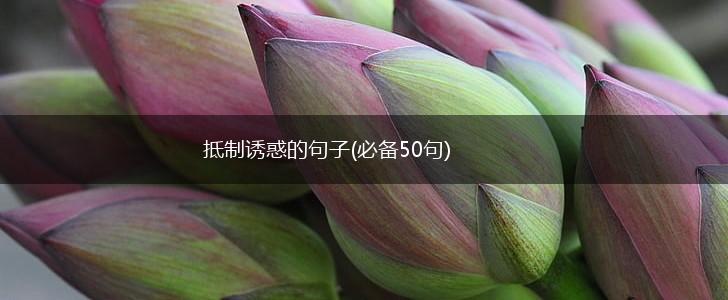 抵制诱惑的句子(必备50句),第1张