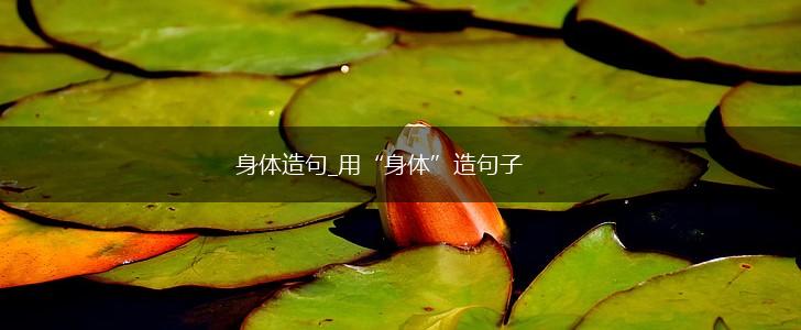 身体造句_用“身体”造句子,第1张