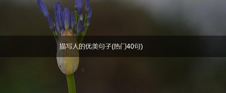 描写人的优美句子(热门40句),第1张