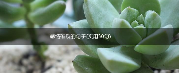 感情破裂的句子(实用50句),第1张