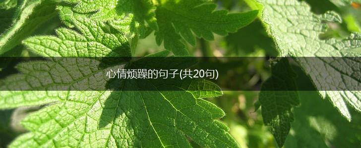 心情烦躁的句子(共20句),第1张