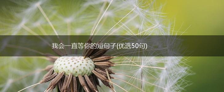 我会一直等你的短句子(优选50句),第1张