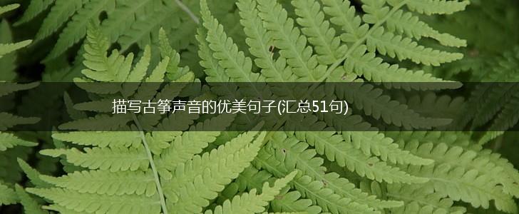 描写古筝声音的优美句子(汇总51句),第1张
