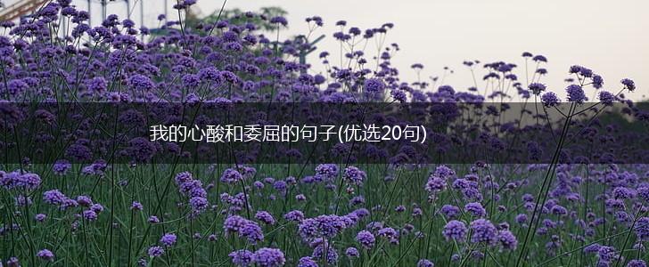 我的心酸和委屈的句子(优选20句),第1张