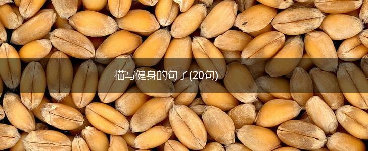 描写健身的句子(20句),第1张