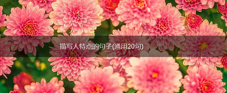 描写人特点的句子(通用20句),第1张