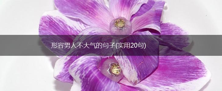 形容男人不大气的句子(实用20句),第1张