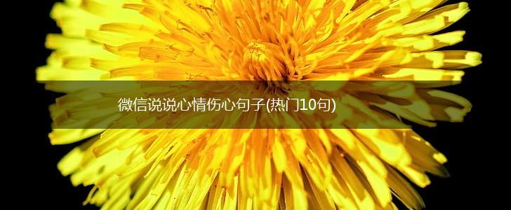 微信说说心情伤心句子(热门10句),第1张